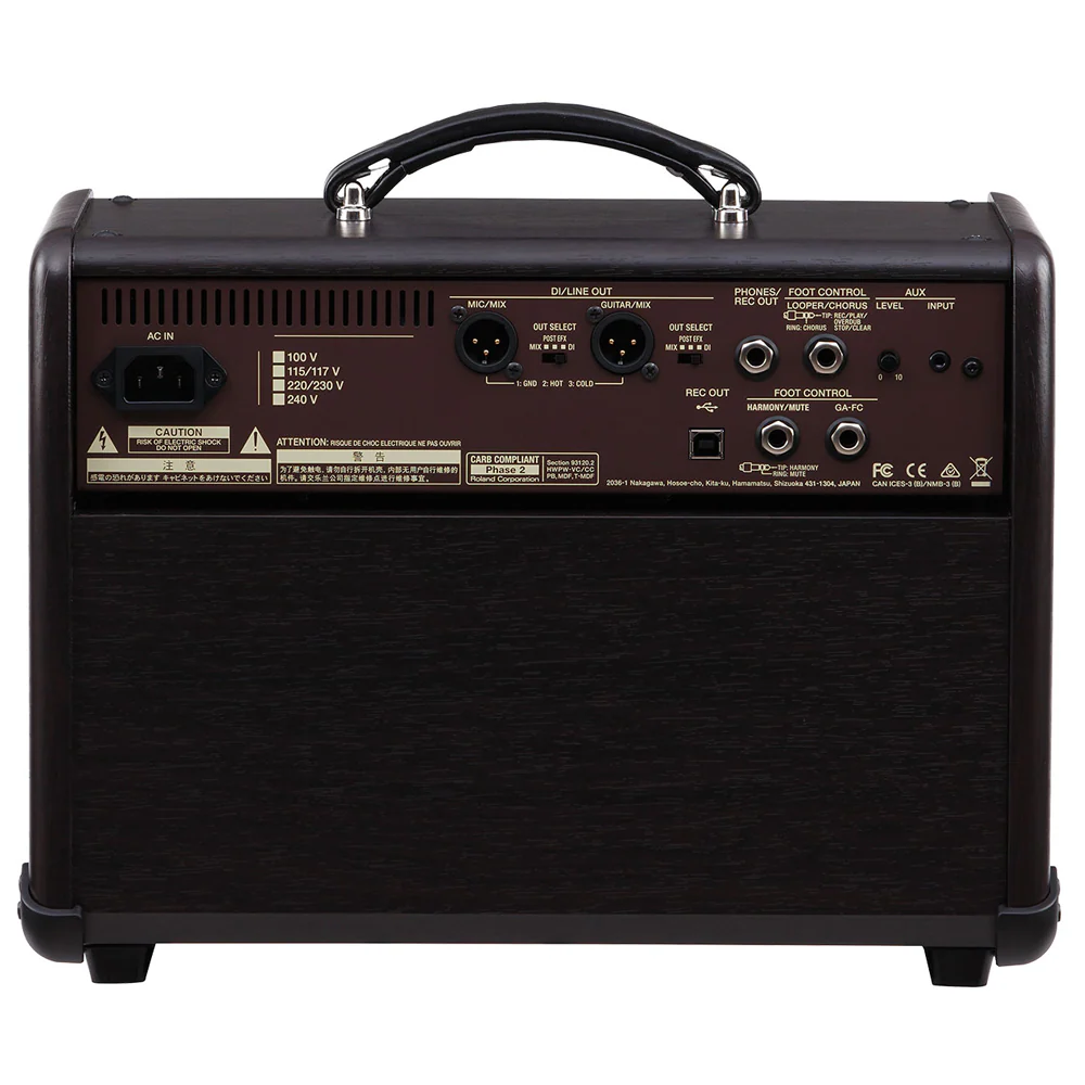 Boss Acoustic Singer Live 60 Watt Amplifier ACSLIVE - Image 2