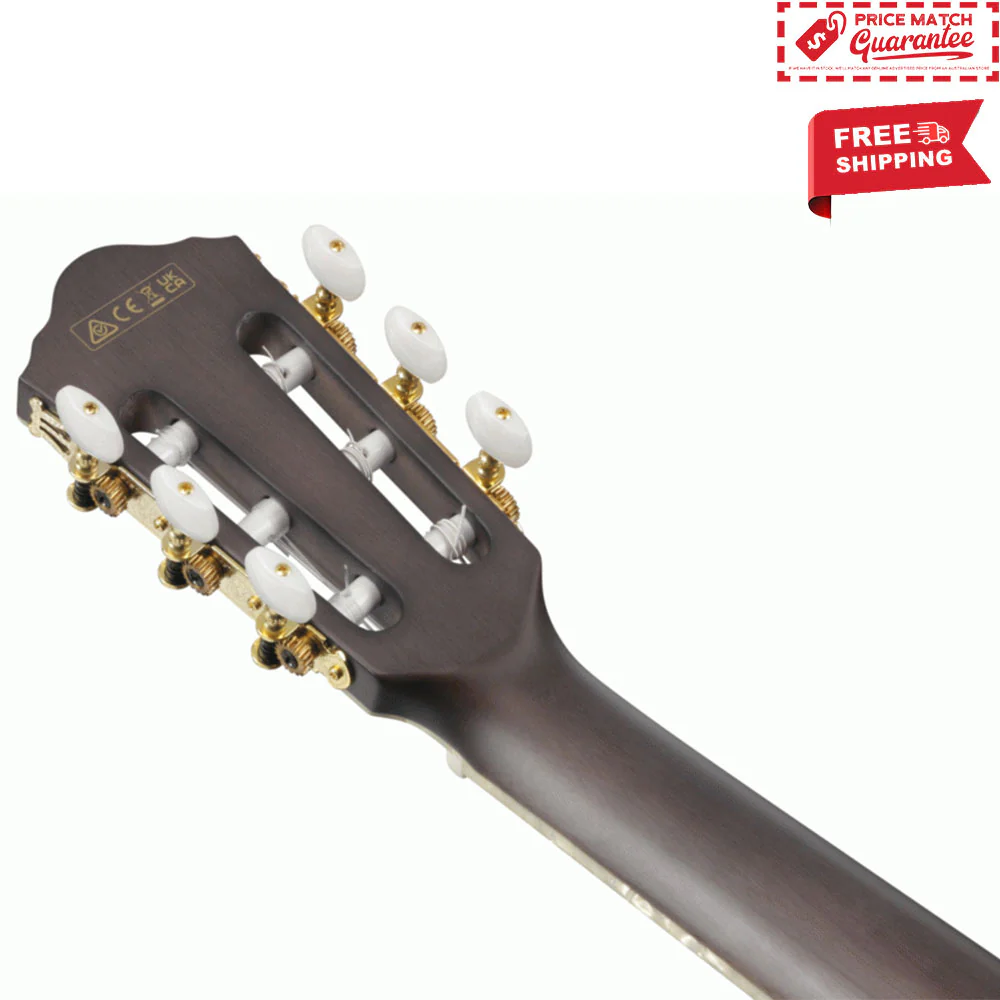 IBANEZ TOD10N TKF Tim Henson Sigature Nylon Guitar - Image 6