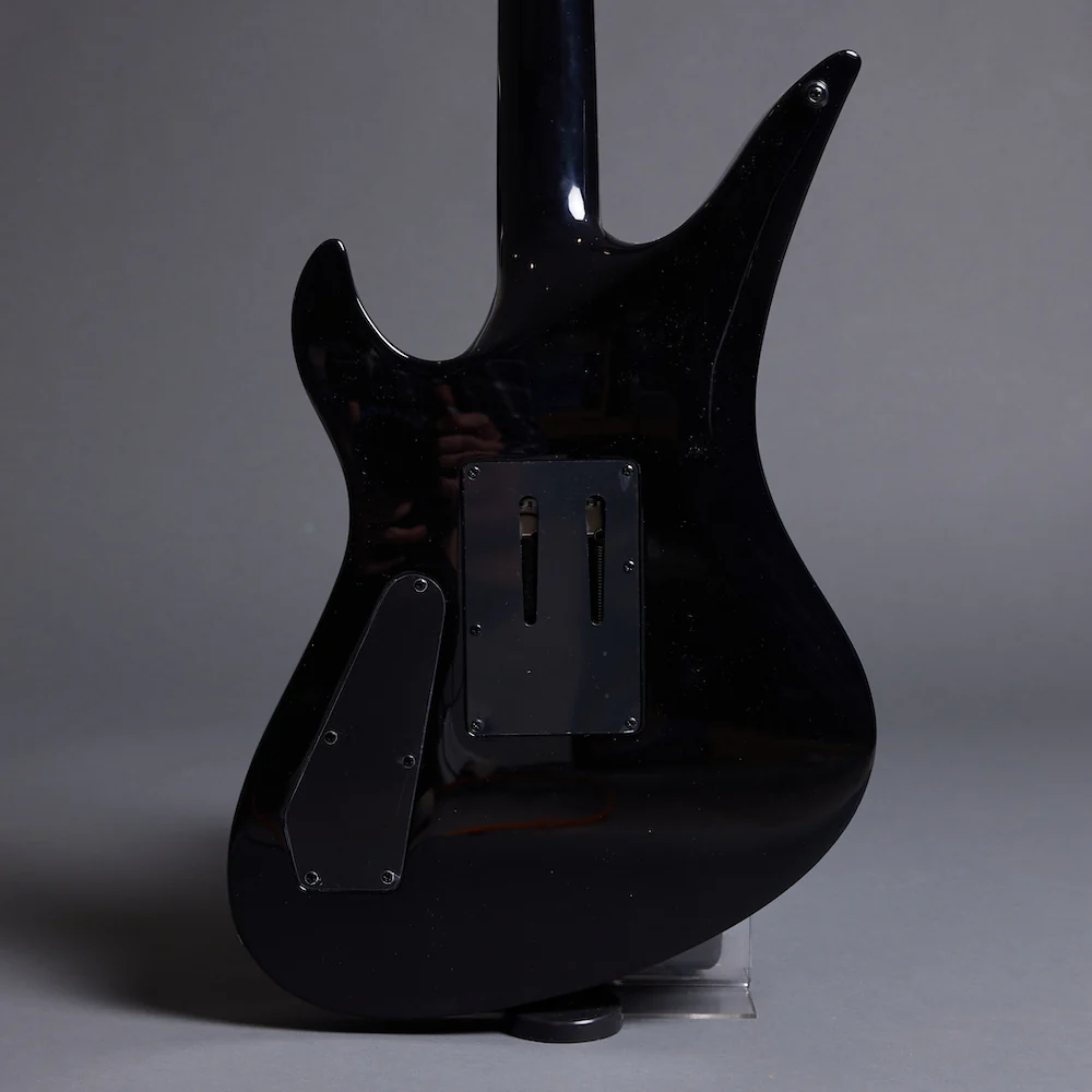 SCHECTER SYNYSTER Custom - Image 8