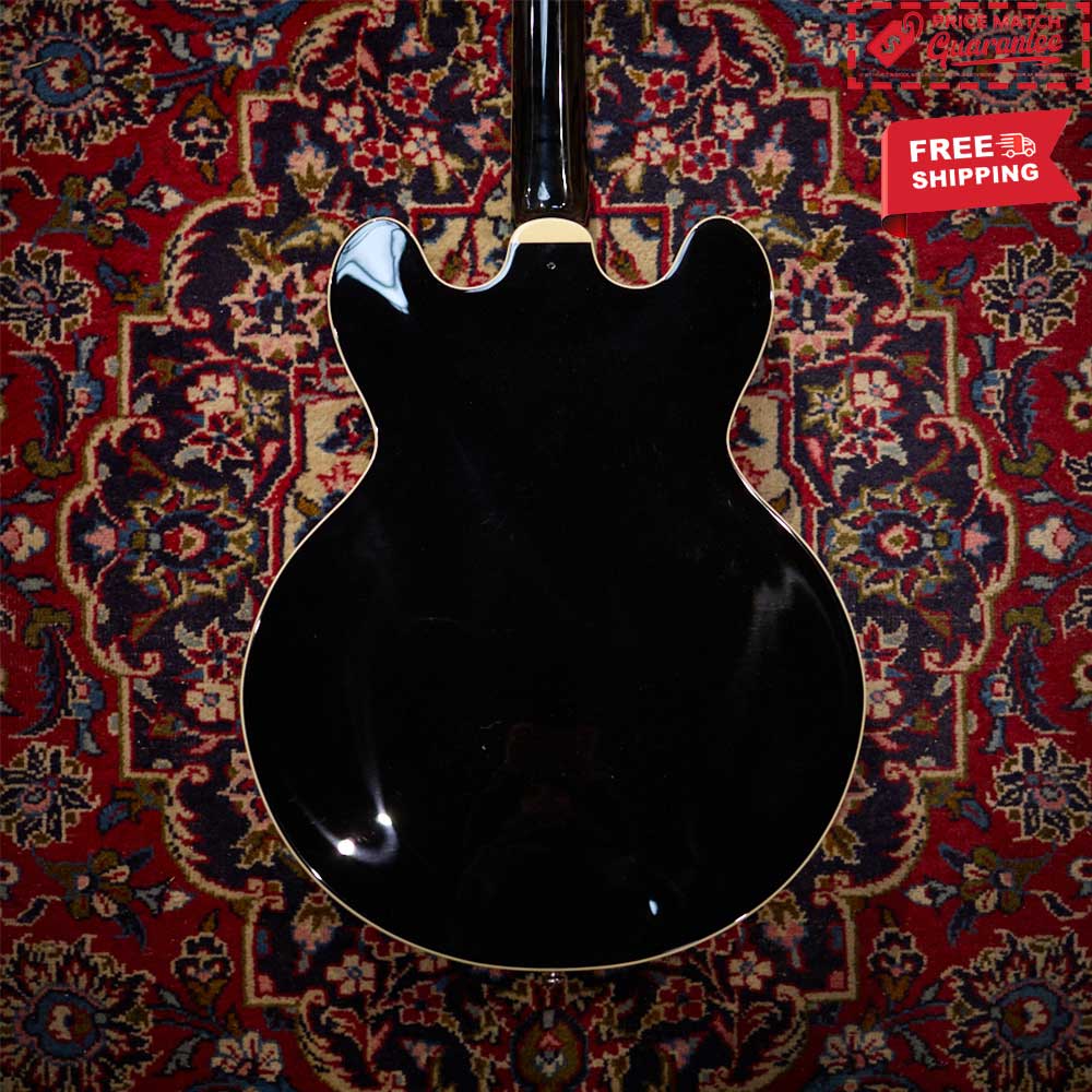 SIGMA Semi Hollow P90 w/bag - Image 3